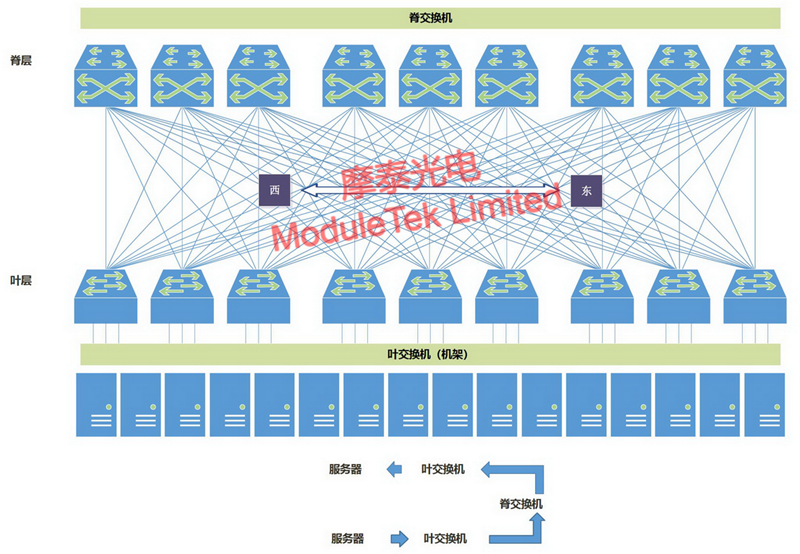 Leaf-ridge network architecture