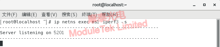 在ns1上運(yùn)行iperf3服務(wù)端