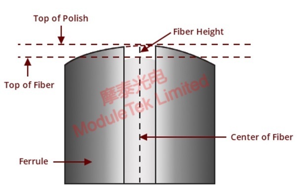 3D測試之光纖高度